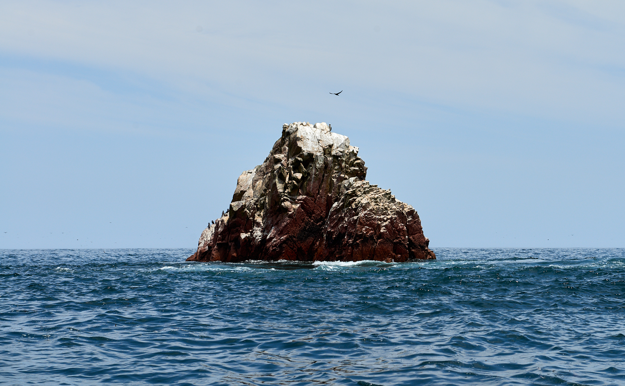 20200304 158 [페루] 바예스타섬